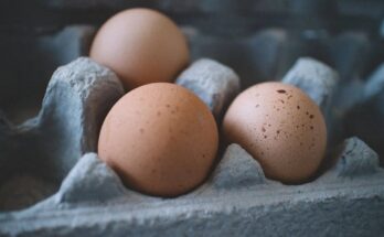 Egg Tray Market