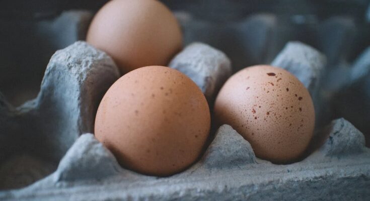 Egg Tray Market