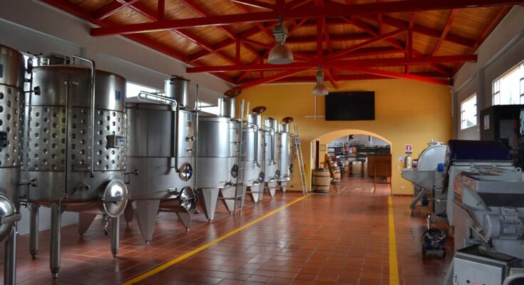 wine production machinery market