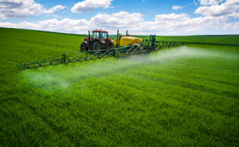 Agricultural Activator Adjuvants Market