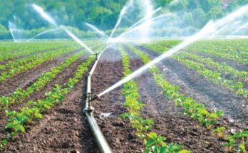 Agricultural High Pressure Sprayer Market