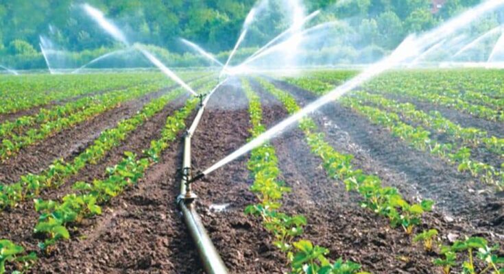 Agricultural High Pressure Sprayer Market