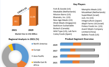 Automotive Coolant Market