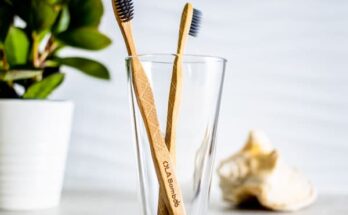 Bamboo Toothbrush Market