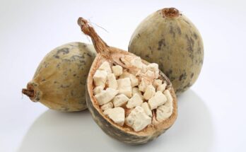 Baobab Fruit Powders Market