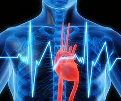 Cardiac Biomarkers