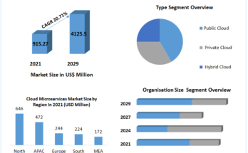 Cloud Microservices Market 