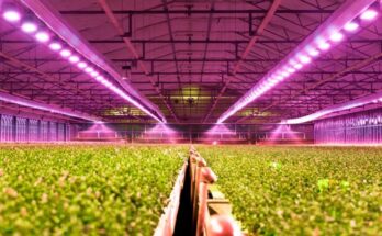 Commercial LED Grow Light Market