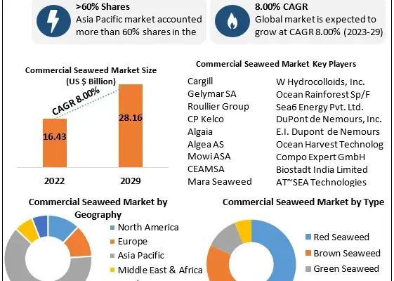 Commercial Seaweed Market