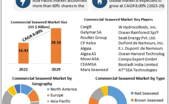 Commercial Seaweed Market