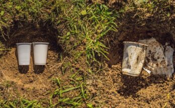 Compostable Plastics Market - Overview, Industry Growth, Size & Forecast