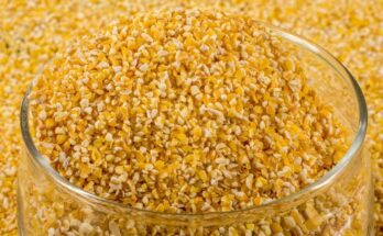 Corn Gluten Pellets Market