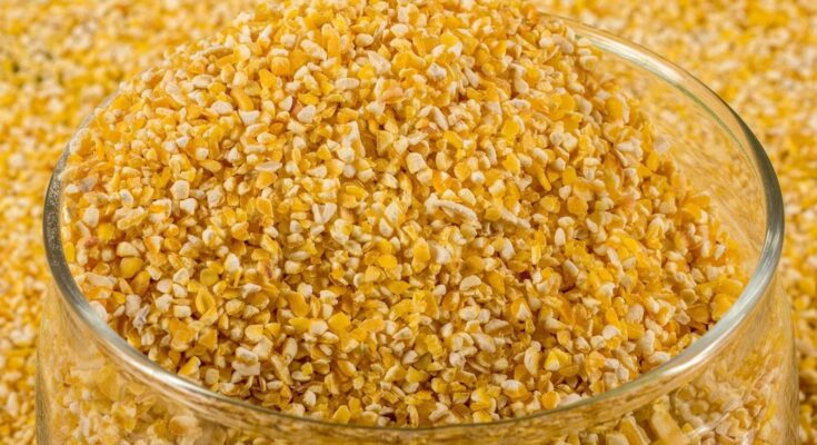 Corn Gluten Pellets Market