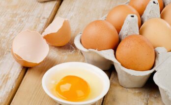 Egg Preparations Market