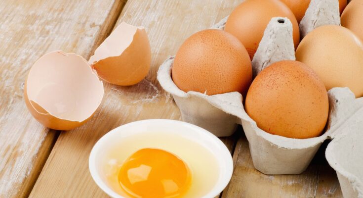 Egg Preparations Market