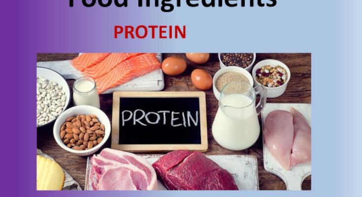 Food Protein Ingredient Market