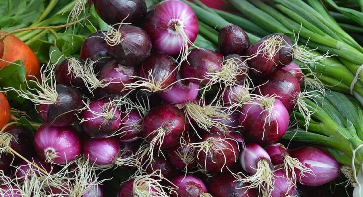 Fresh Onions Market