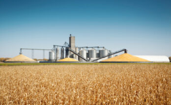 Grain Floor Dryer Market