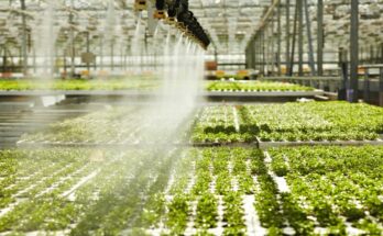 Greenhouse Spray Humidification Systems Market