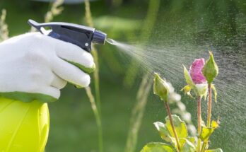 Home & Garden Pesticides Market