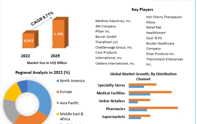 Hot and Cold Therapy Packs Market