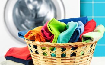 India Fabric Wash and Care Market