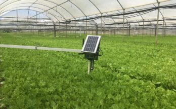 Intelligent Greenhouse Market