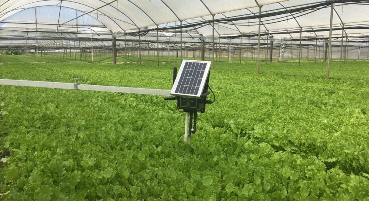 Intelligent Greenhouse Market