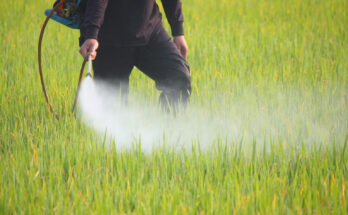 Pesticide Technical Material Market