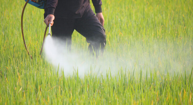 Pesticide Technical Material Market