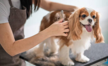 Pet Grooming Products Market