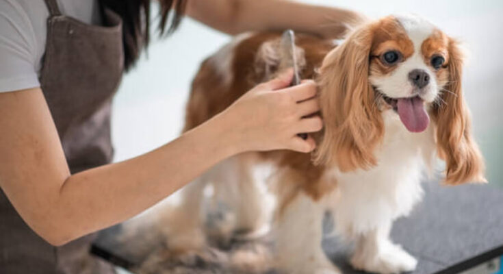 Pet Grooming Products Market