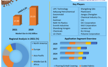 Plasticizers Market 