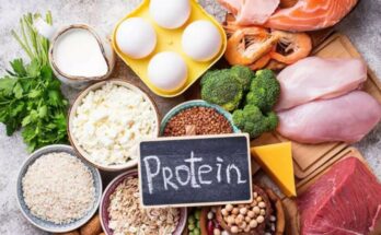 Protein-rich Foods Market