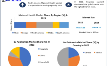 Maternal Health Market