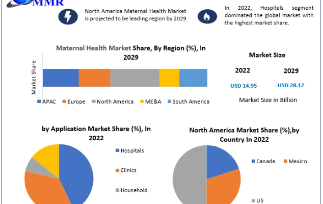 Maternal Health Market