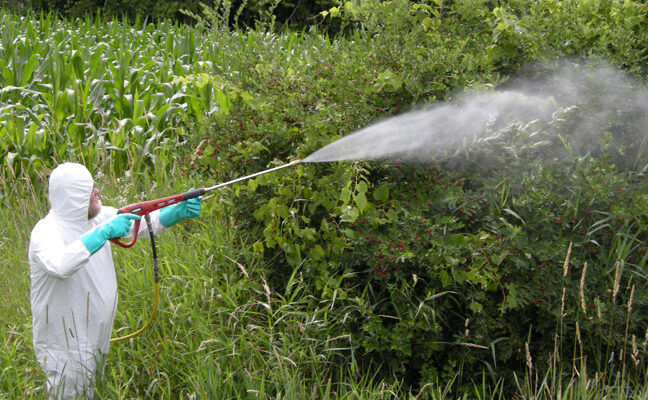 Selective Herbicides Safener Market