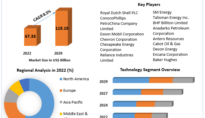 Shale Gas Market