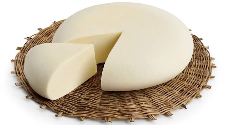 Sheep Milk Cheese Market