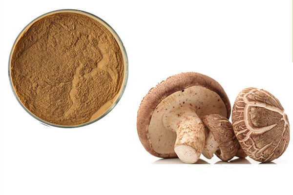 Shiitake Mushroom Extract Powder Market