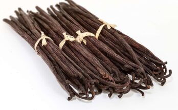 Vanilla Beans and Extract Market