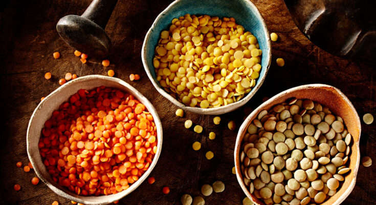 oilseed and grain seed market