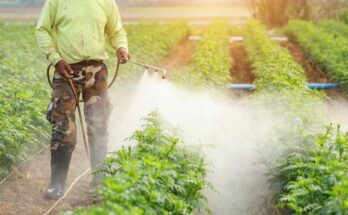 pesticide inert ingredients market