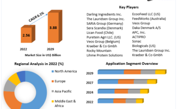  Plasma Feed Market