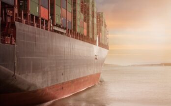 Perishable Goods Sea Transportation Market