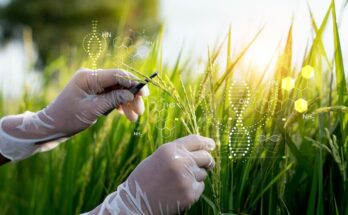 Agricultural Microbial Market