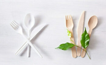 Biodegradable Cutlery Market