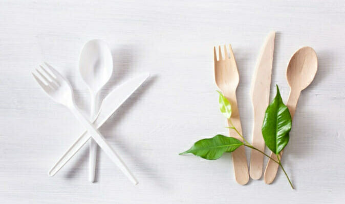 Biodegradable Cutlery Market