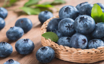 Blueberry Extract Market