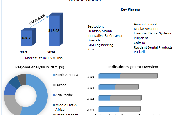 Endodontic Reparative Cement Market